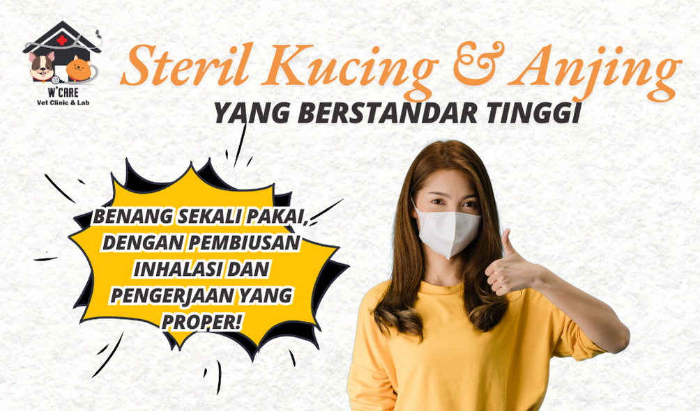Steril kucing di W'Care Vet Clinic & Lab Jakarta Barat