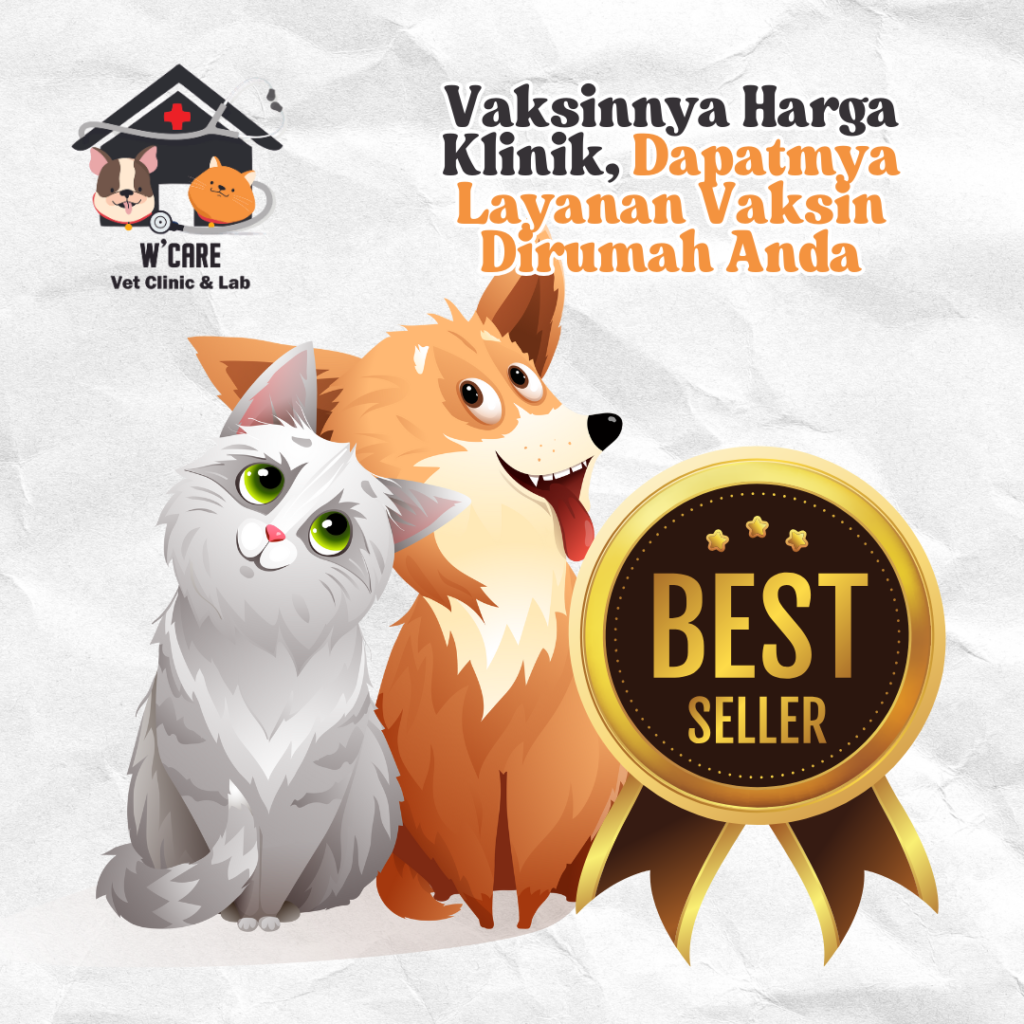promo vaksin